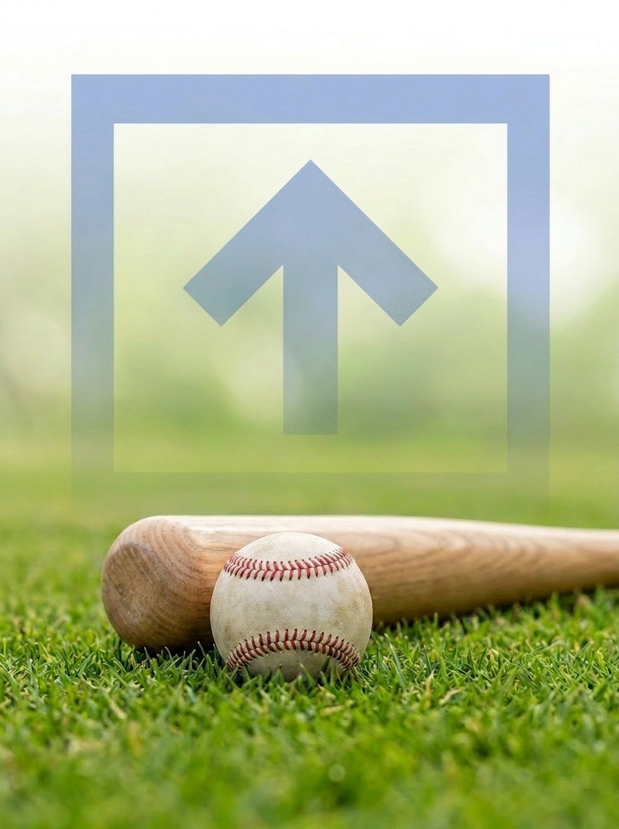 Baseball Simulators