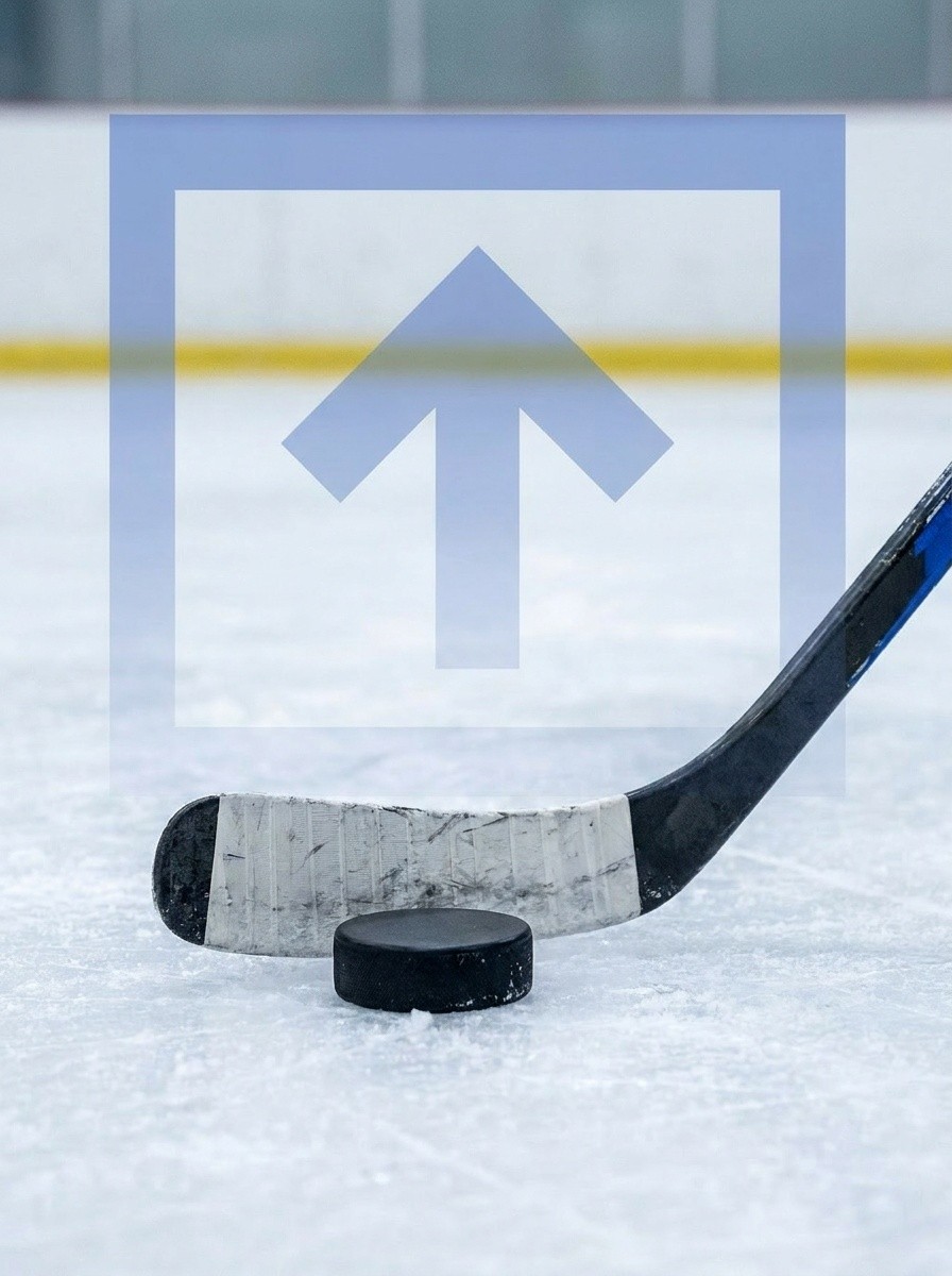 Hockey Simulators