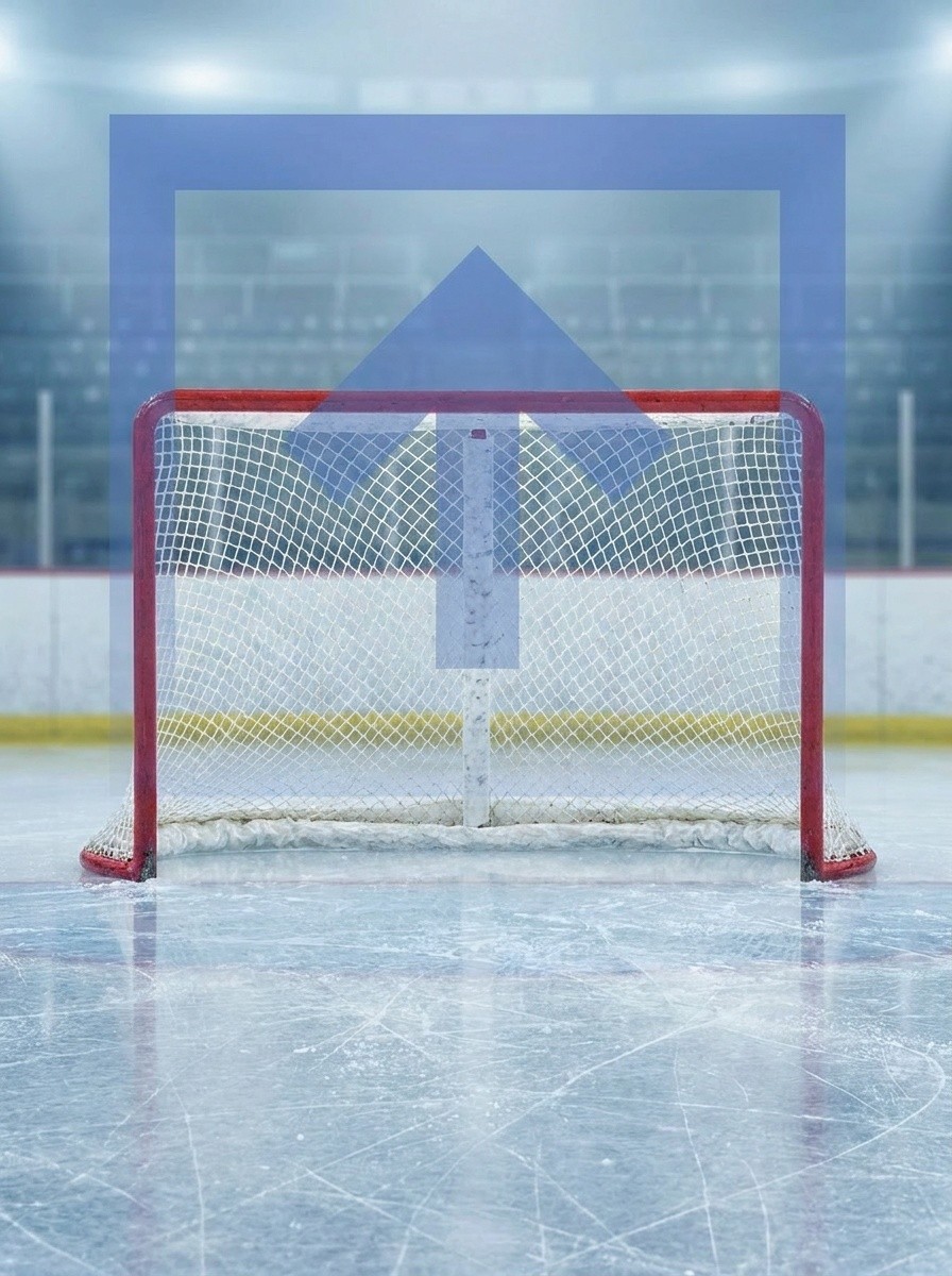 Electronic Hockey Nets